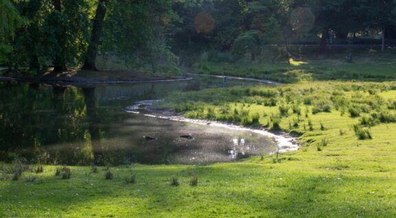 Ambiance parc de procé