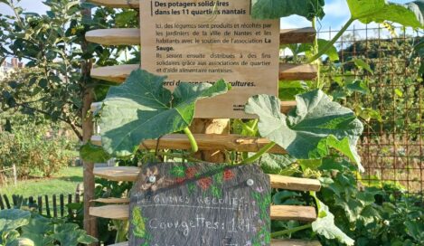 Potagers solidaires