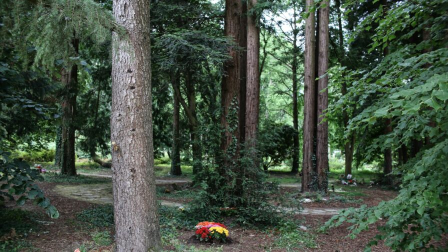 cimetiere parc arboretum