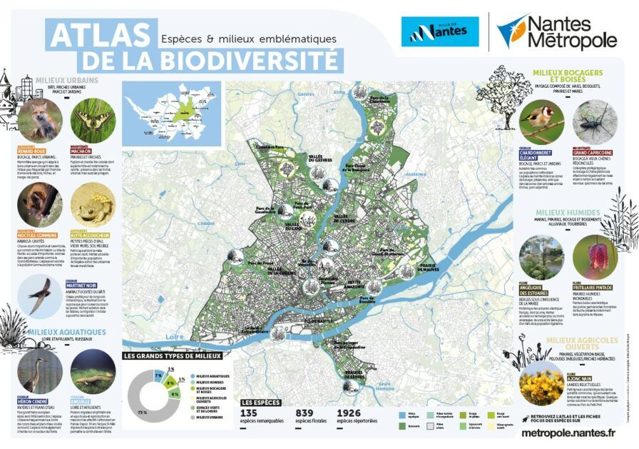 Carte ville de nantes