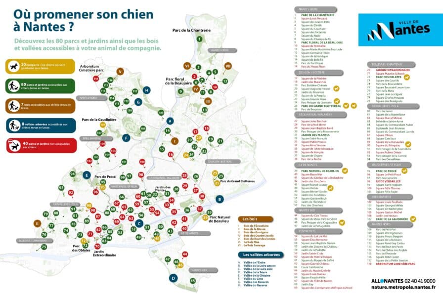 Carte les chiens dans les parc com v8